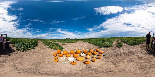 Pumpkins | Jim Jasinski