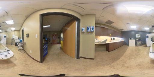 健康・医学 Diagnostic Imaging Diagnostic Imaging: Chest: 9780323796637: Medicine & Health
